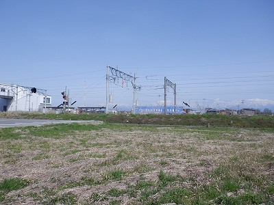 �V�x�R���w�摜