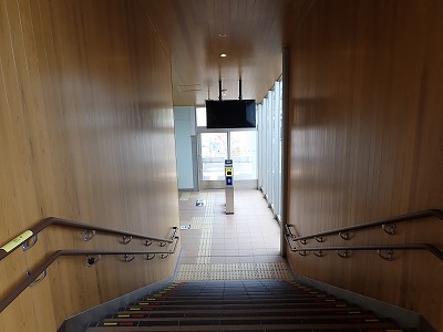 �V�x�R���w�摜