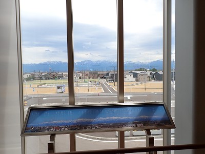 �V�x�R���w�摜