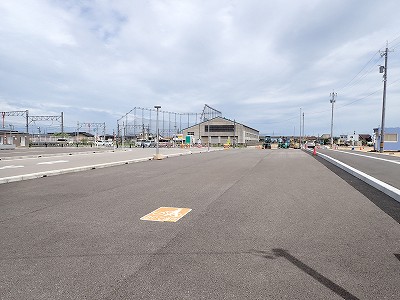 �V�x�R���w�摜