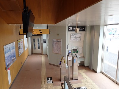 �V�x�R���w�摜