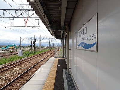 �V�x�R���w�摜