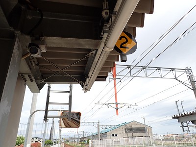 �V�x�R���w�摜