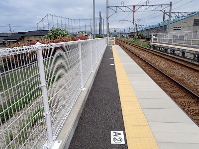 �V�x�R���w�摜