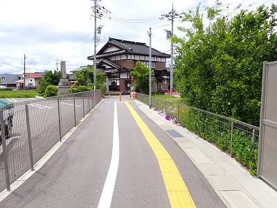 �V�x�R���w�摜