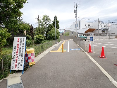 �V�x�R���w�摜