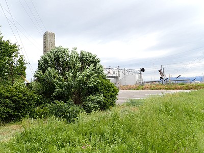 �V�x�R���w�摜