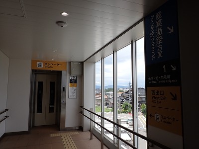 �V�x�R���w�摜