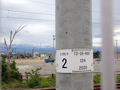 �V�x�R���w�摜