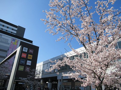 富山駅画像