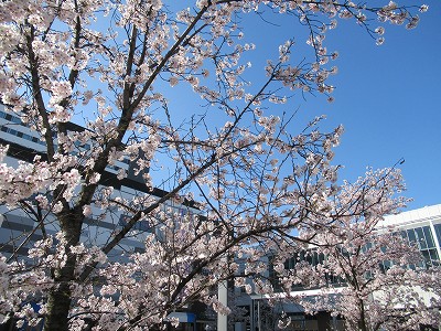 富山駅画像