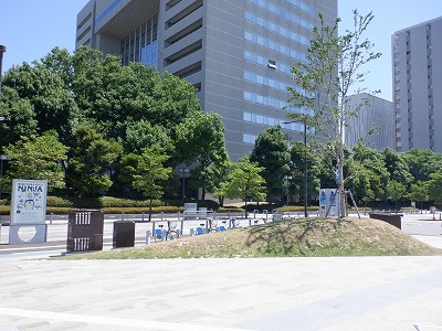 xRw摜