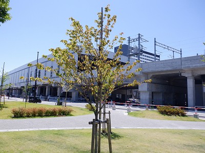 xRw摜