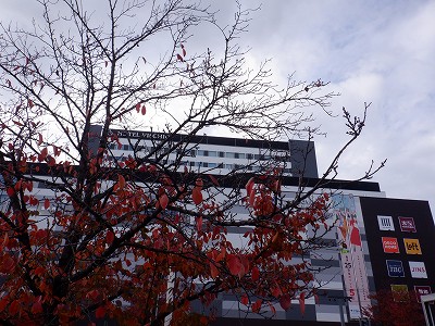 xRw摜