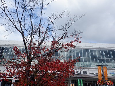 xRw摜