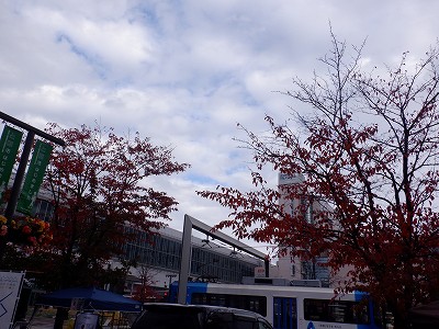 xRw摜