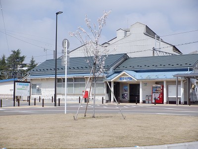 �z�����w�摜