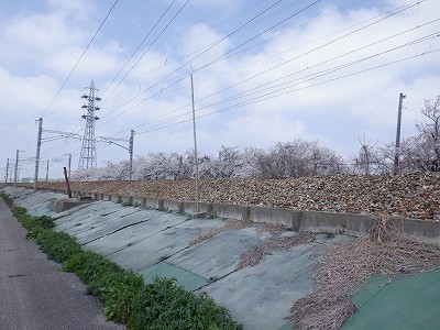 �z�����w�摜