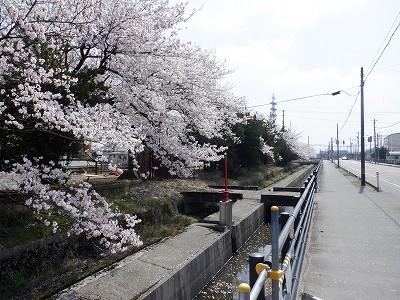 �z�����w�摜