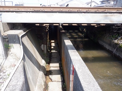 �z�����w�摜