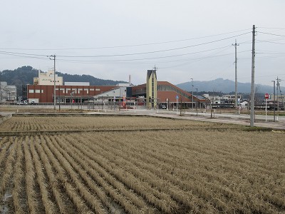 道路から