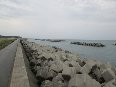 海
