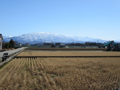 ホーム