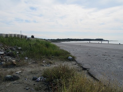海岸