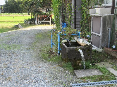 わき水