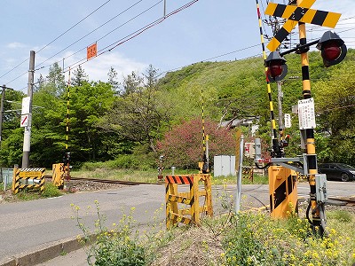 �֒�M�C�w�摜