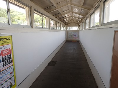 �֒�M�C�w�摜