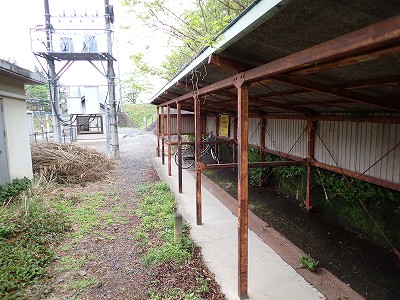 �������w�摜