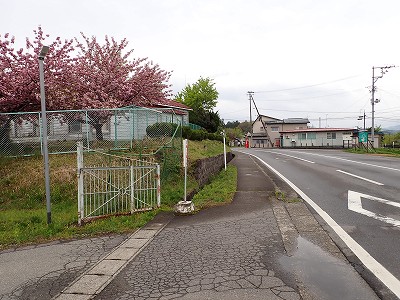 �������w�摜