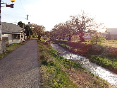 �쌅�w�摜