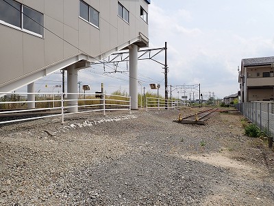 ��v�c�w�摜