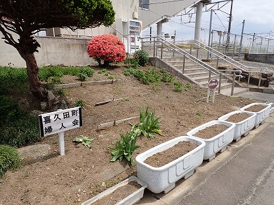 ��v�c�w�摜