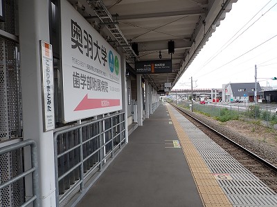 �S�R�x�c�w�摜