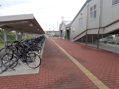 �S�R�x�c�w�摜