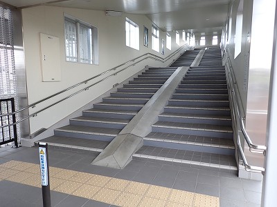 �S�R�x�c�w�摜