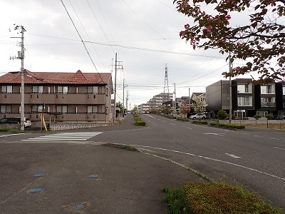 �S�R�x�c�w�摜