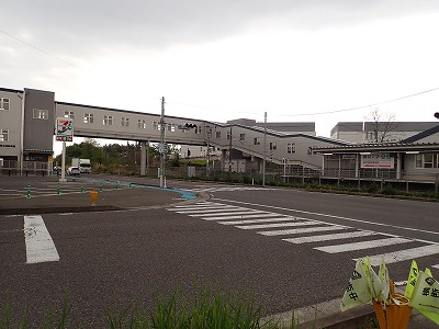 �S�R�x�c�w�摜