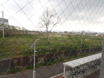 �S�R�x�c�w�摜