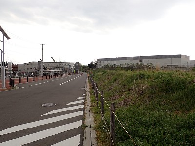 �S�R�x�c�w�摜