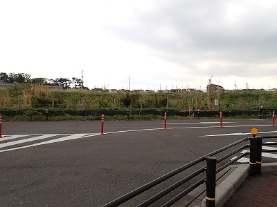 �S�R�x�c�w�摜