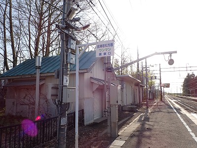 �����w�摜