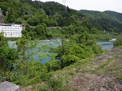 {w摜
