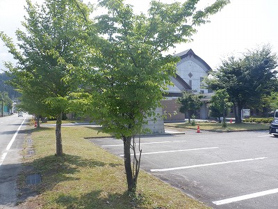 �����w�摜