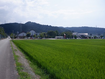 �����w�摜