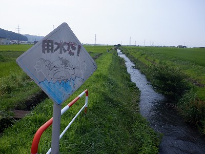 �����w�摜