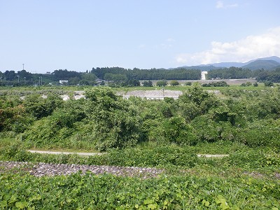 �����w�摜